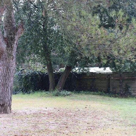 Apartament Chez Titi Mornas Zewnętrze zdjęcie